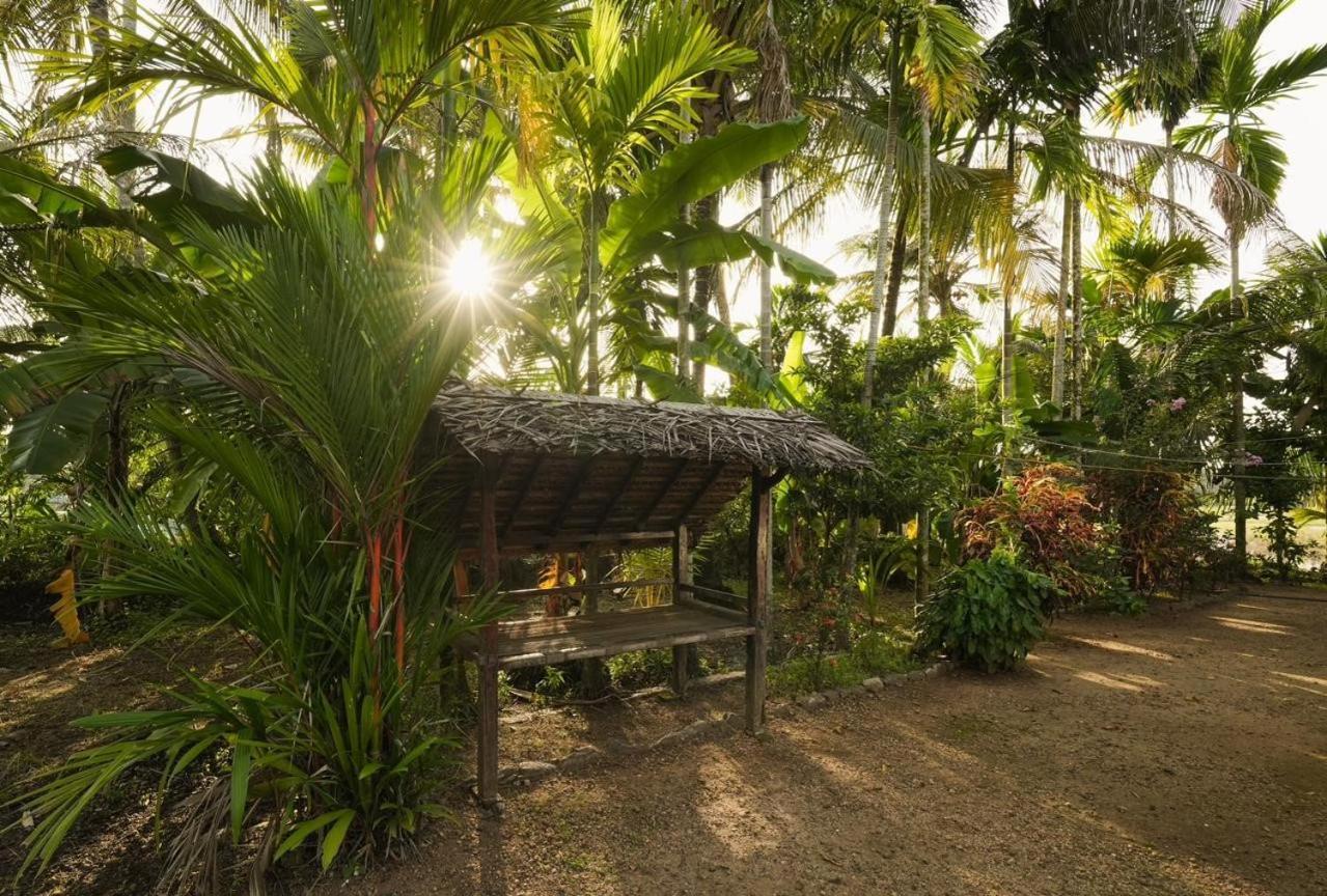 Cocozone Stays Alappuzha Exteriér fotografie